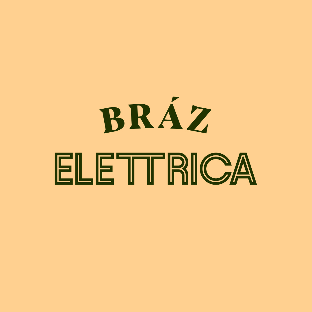 Bráz Elettrica wordmark in basilico on mozzarella