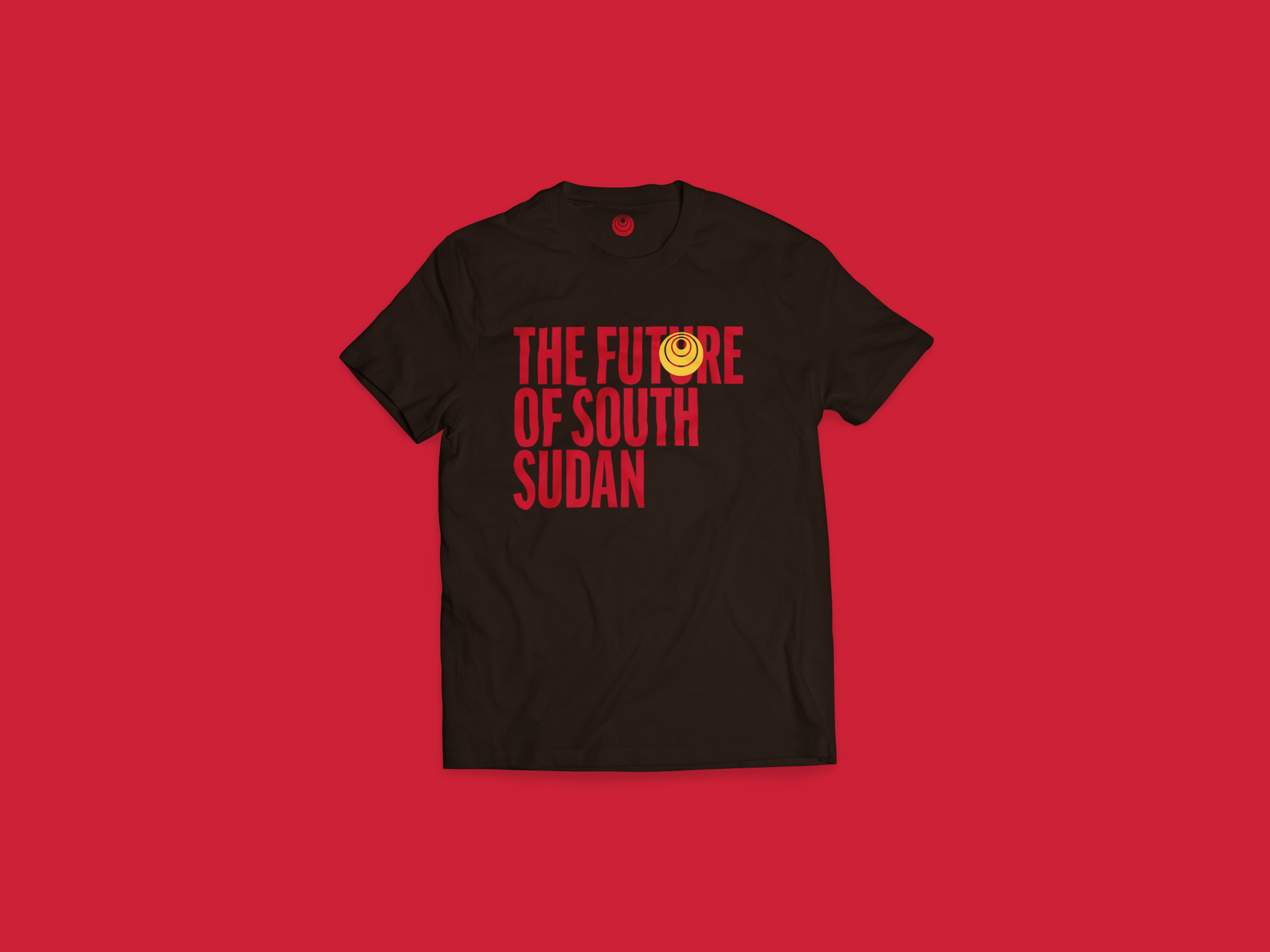 Luol Deng Foundation t-shirt — You are the future