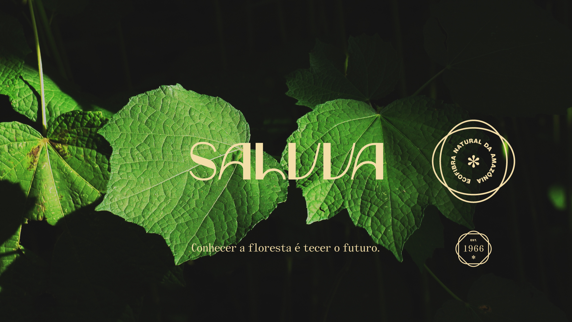 Salvva