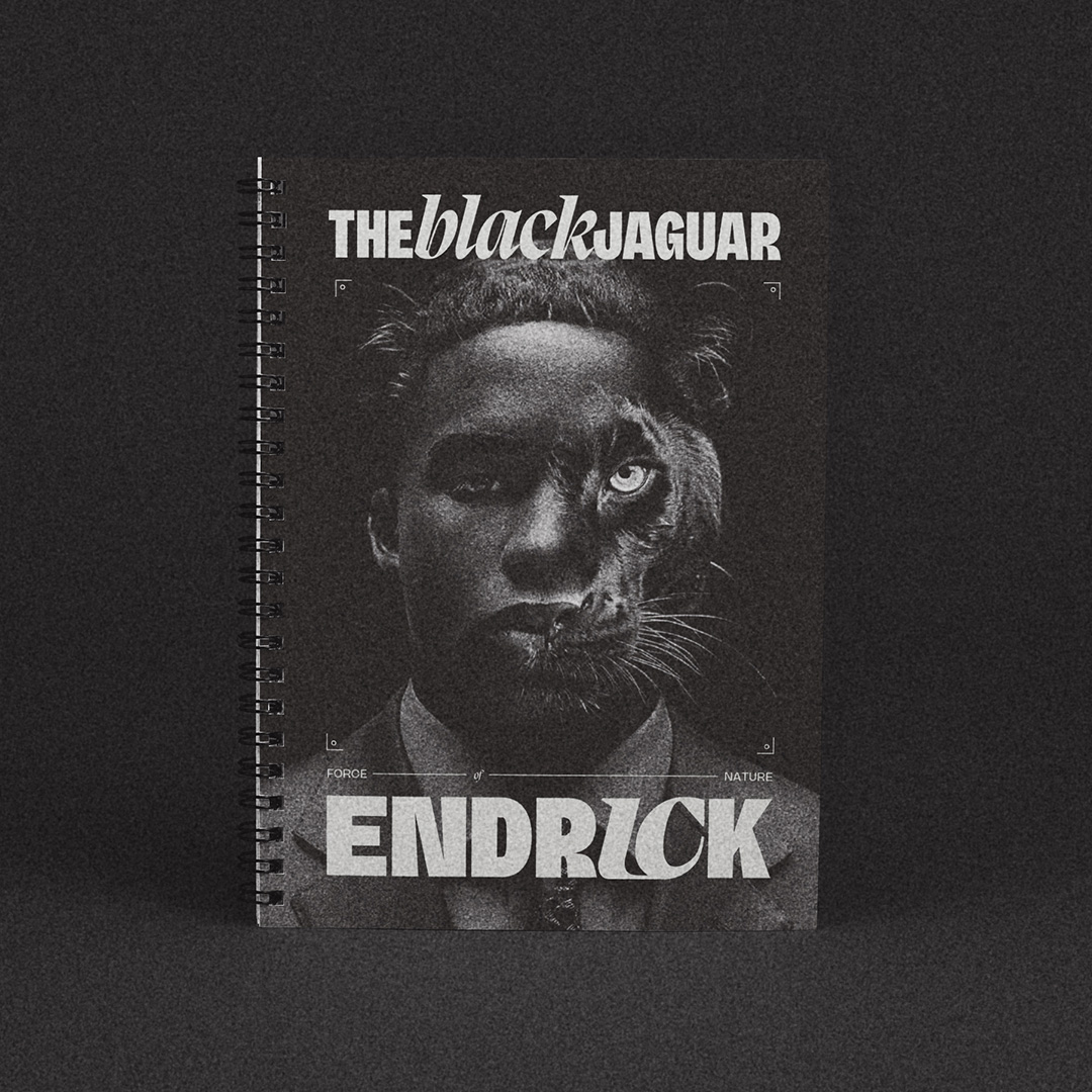 Endrick product application 2