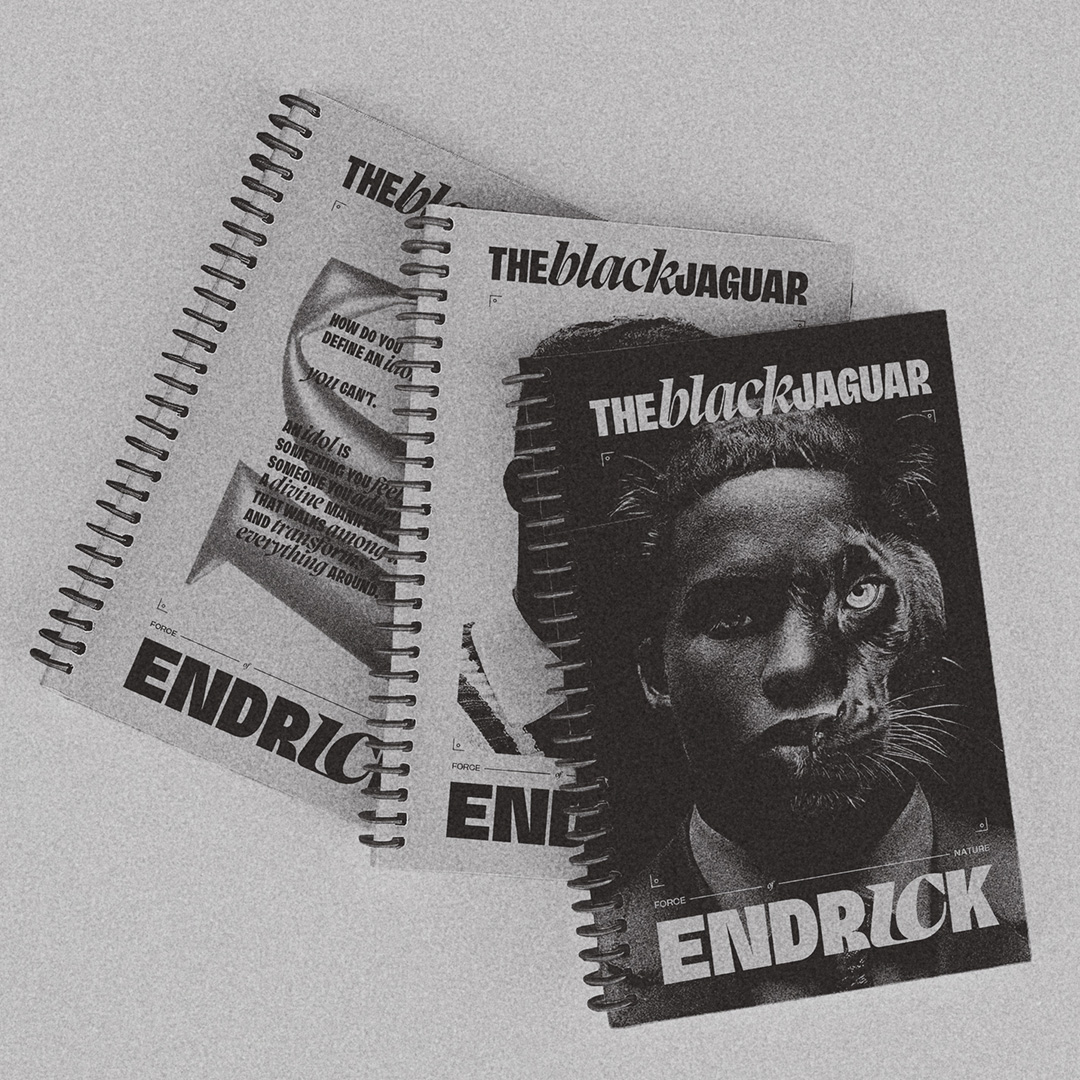 Endrick product application 3