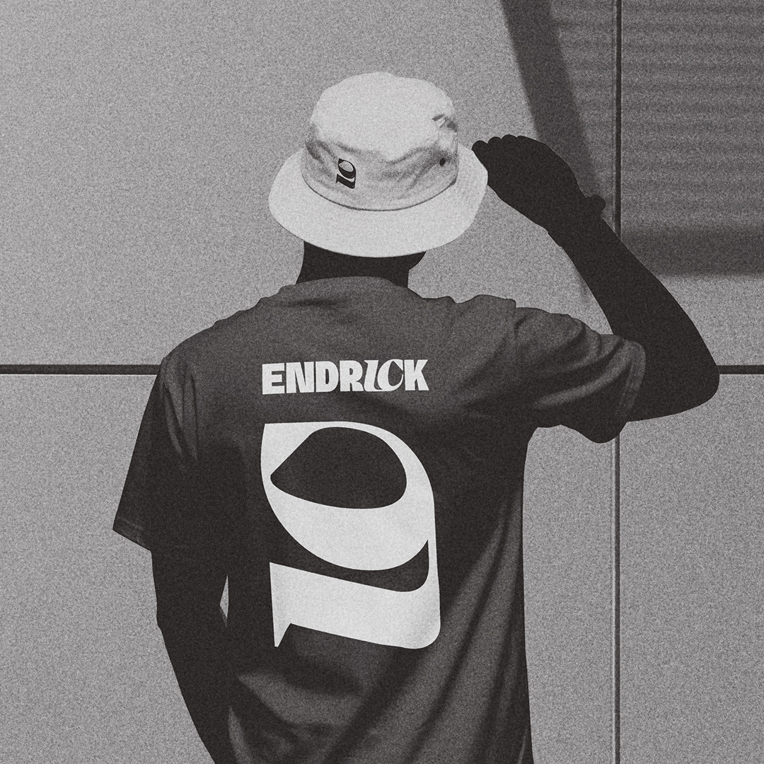 Endrick product application 4