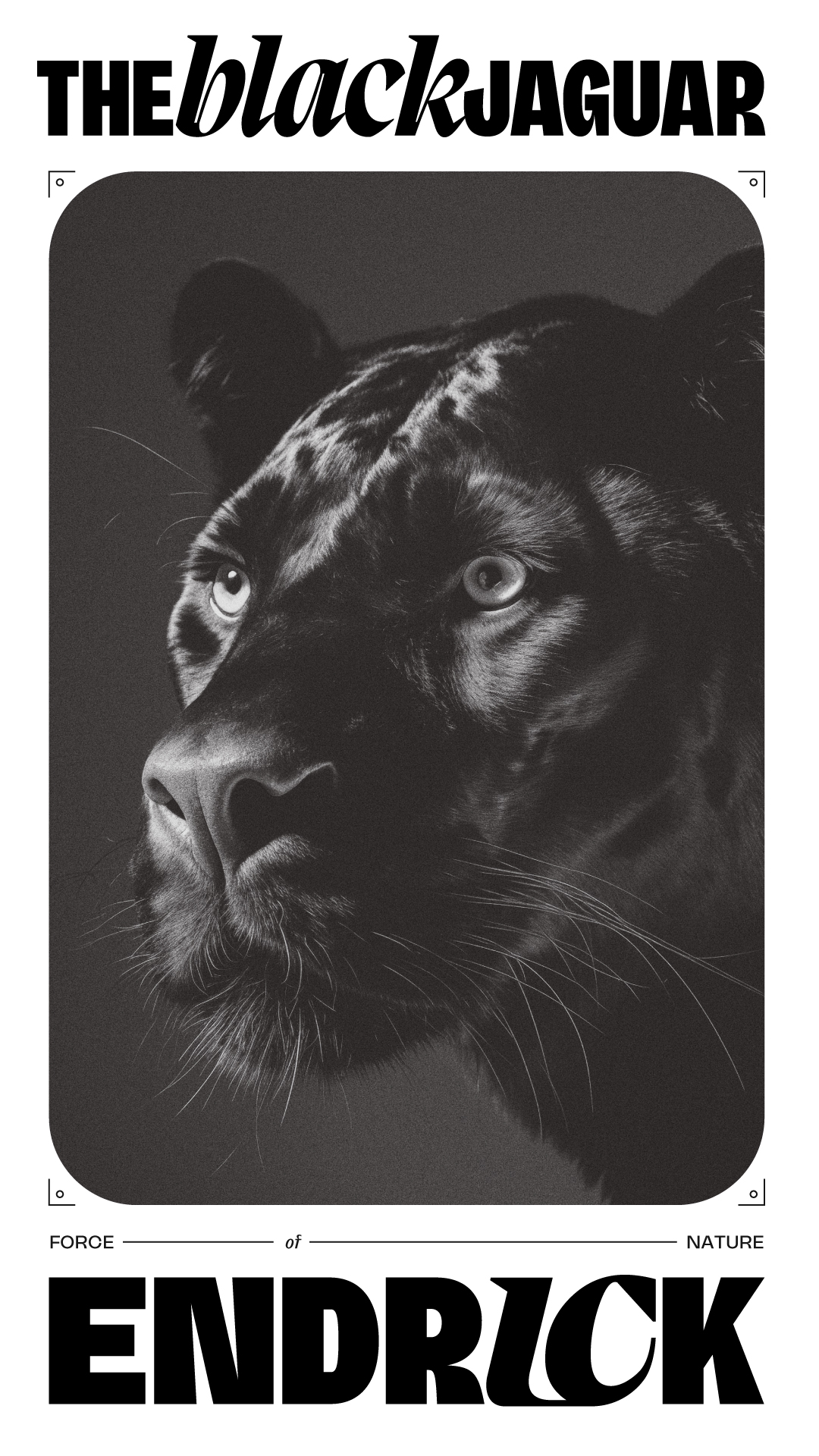 Endrick poster study 22